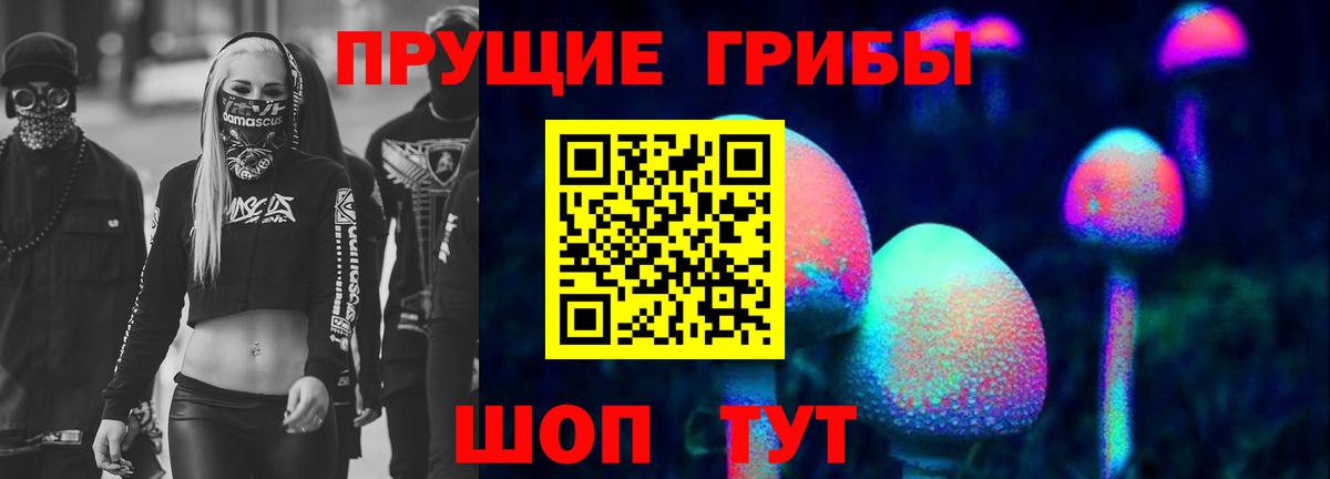 Чебоксары  магазин продажи   Вход с VPN  Галлюциногенные грибы MAGIC MUSHROOMS 